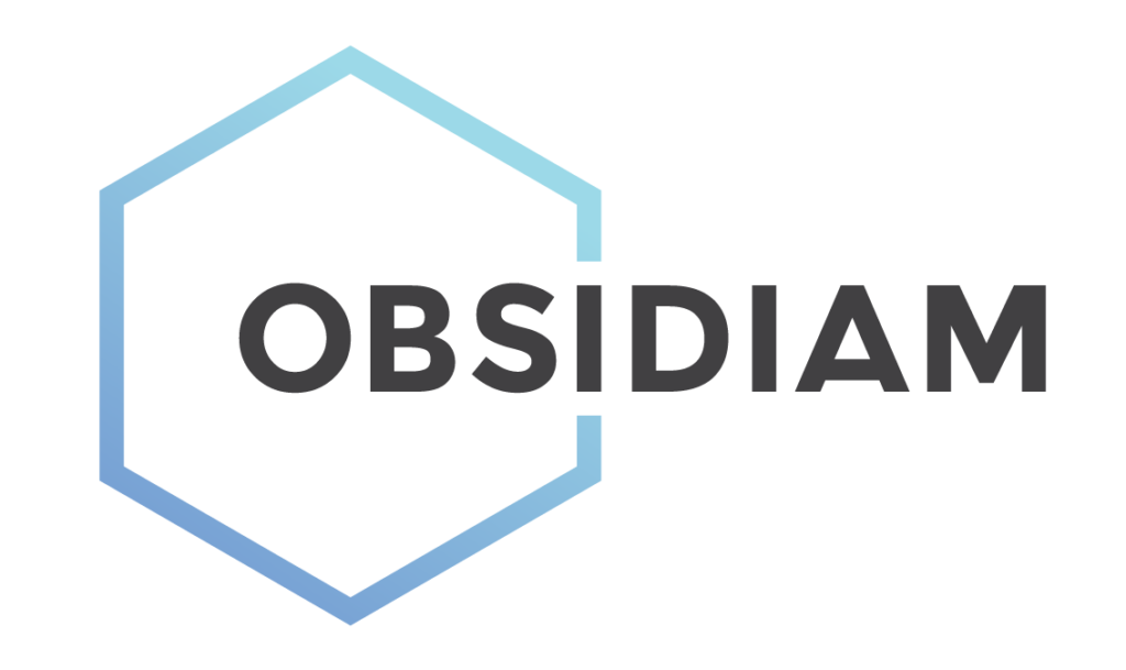 Obsidiam Partnership Blue Bank International N.V.